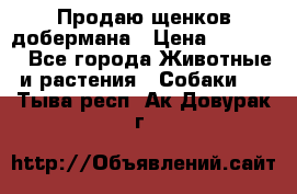 Продаю щенков добермана › Цена ­ 45 000 - Все города Животные и растения » Собаки   . Тыва респ.,Ак-Довурак г.